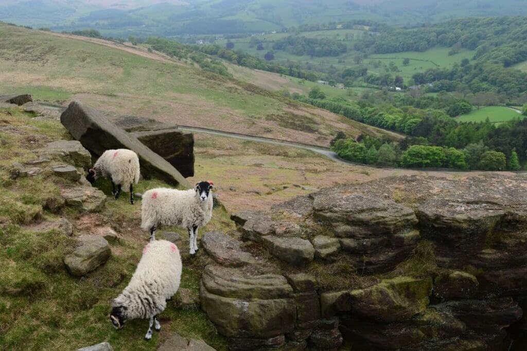 day out in national parks