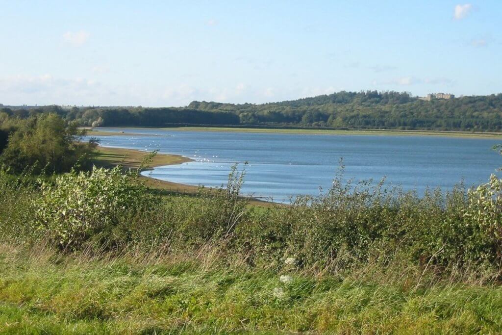 Rutland water fun