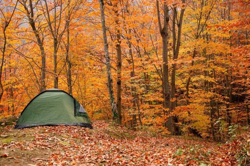 Autumn camping