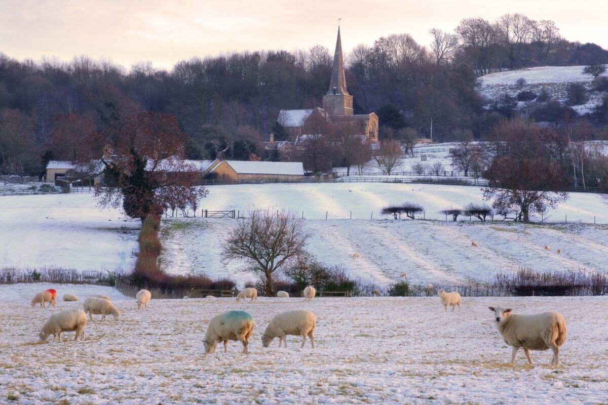 Christmas in the Cotswolds