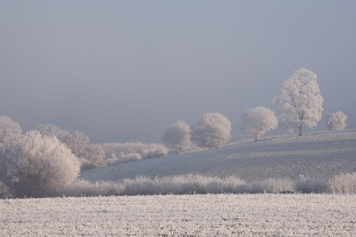 Cotswolds Christmas, England 