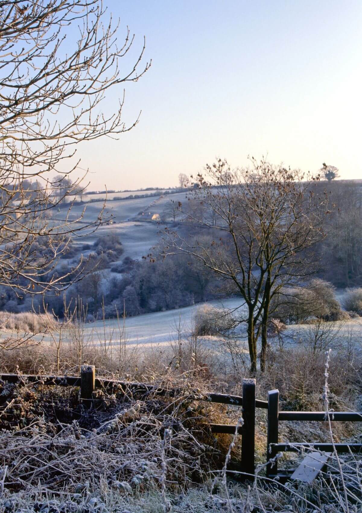 Walking in the Cotswolds, England