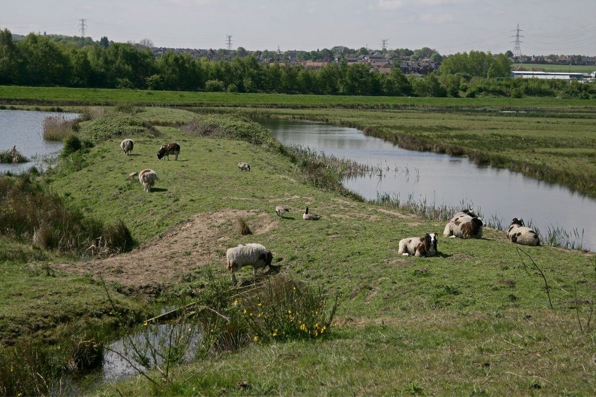 13 Great Days Out in South Yorkshire for 2024 | Day Out in England