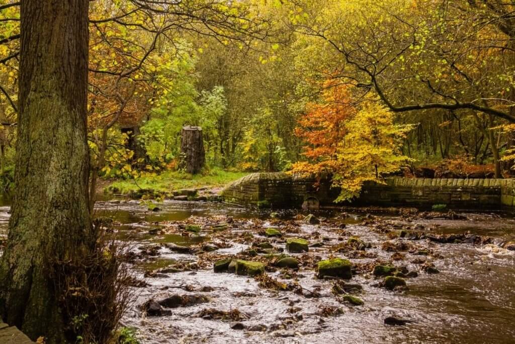 day out in south yorkshire