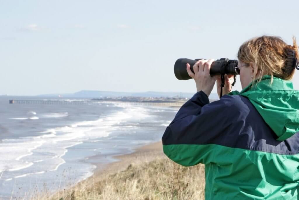 Bird watching, days out in Winter