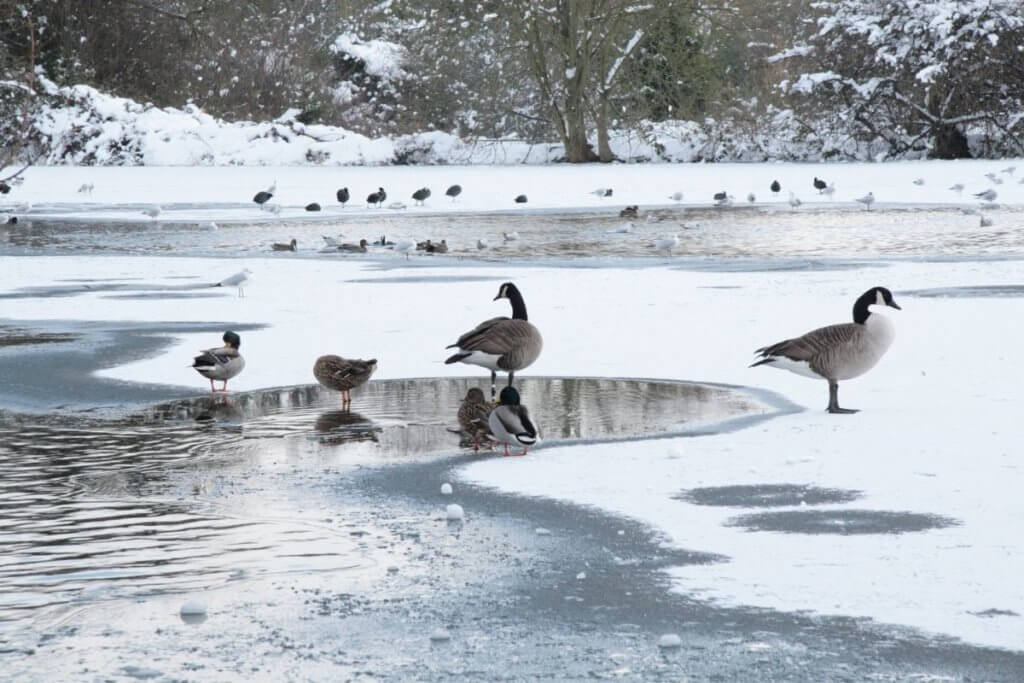 Days out for winter in England 