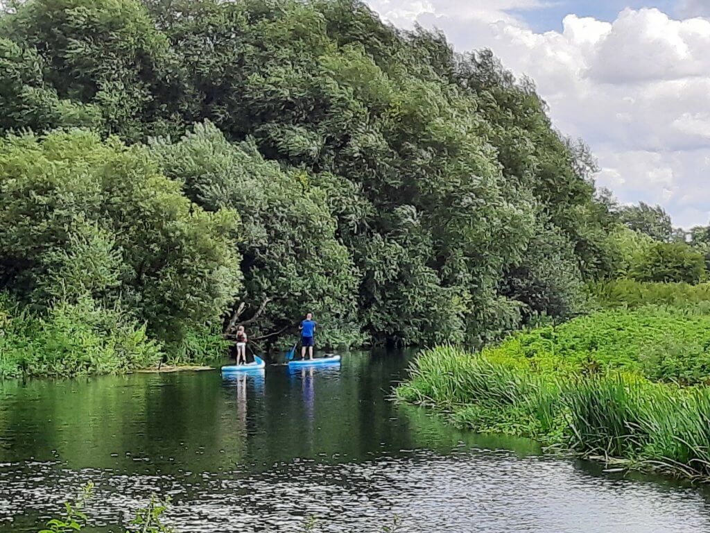 paddleboarding in langport