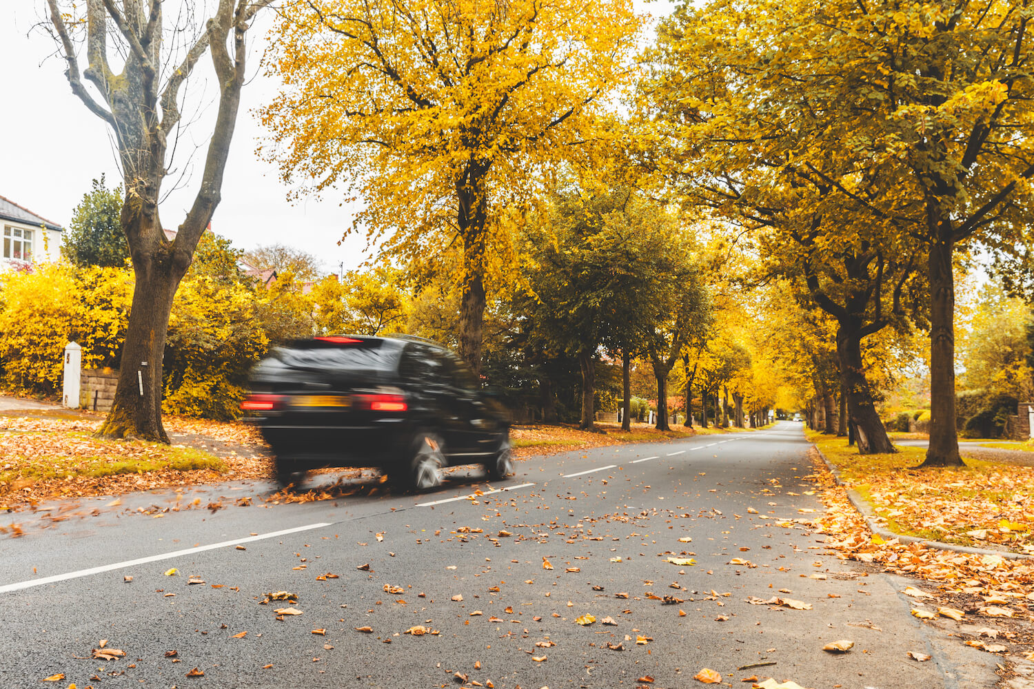 Road with blurred car passing, autumn trees and leaves all around. Travel and nature concepts together in this image.
