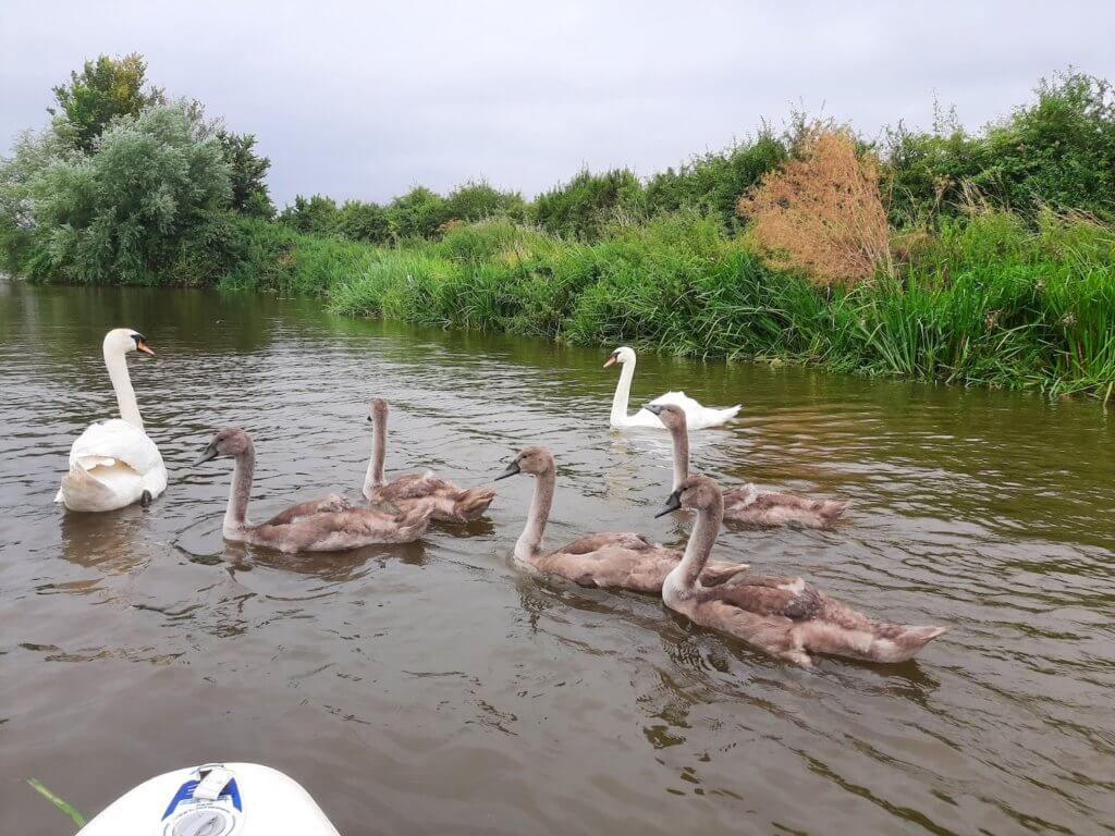 somerset paddleboarding