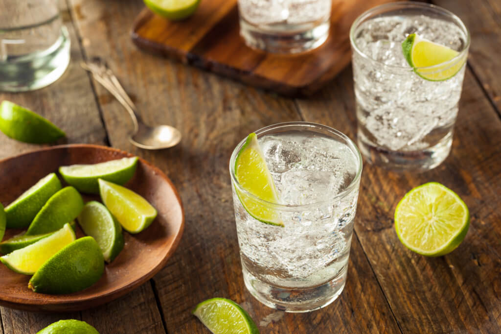 Alcoholic Gin and Tonic with a Lime Garnish