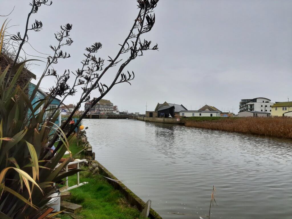 paddle boarding in chesil beach