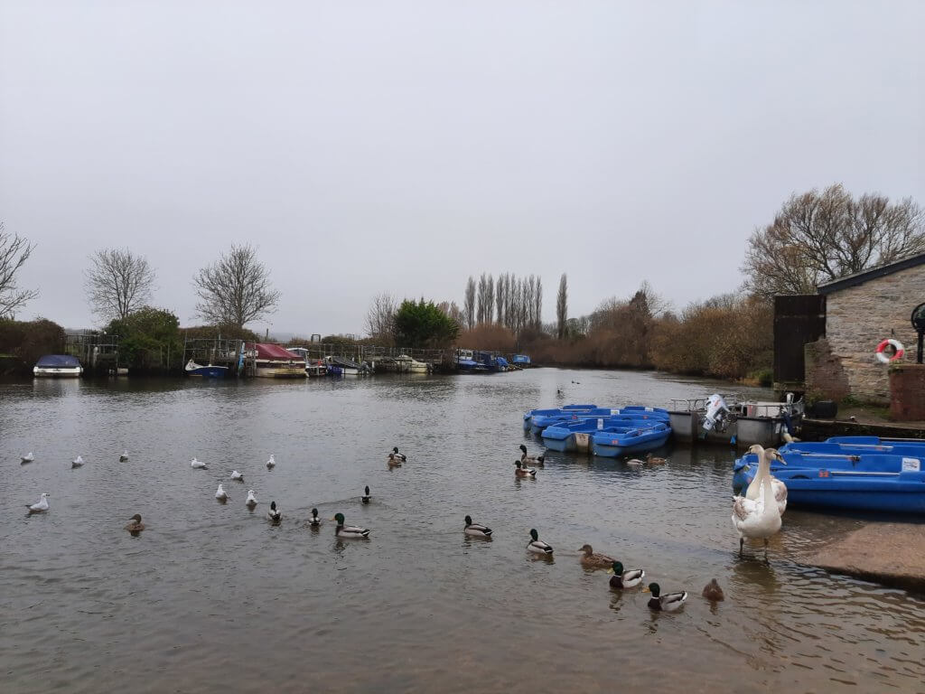 wareham paddleboarding