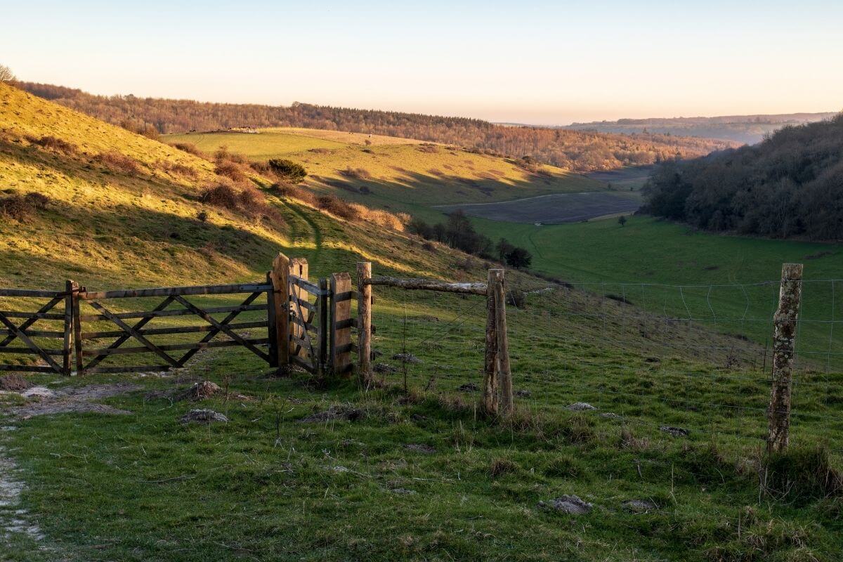 13 Great Tips You NEED For Walking The South Downs Way In 2024 Day   South Downs Way Walk  