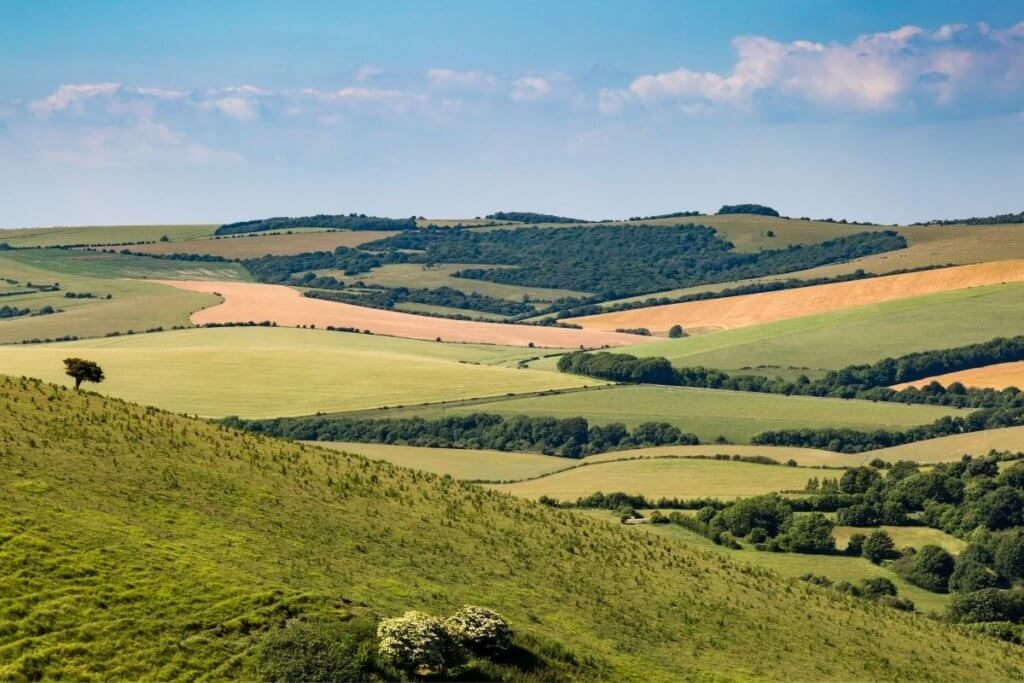 tips for south downs way