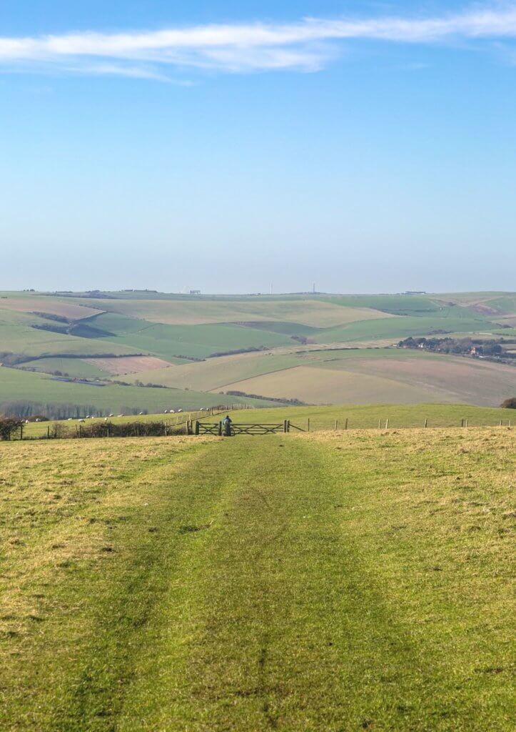views of the south downs