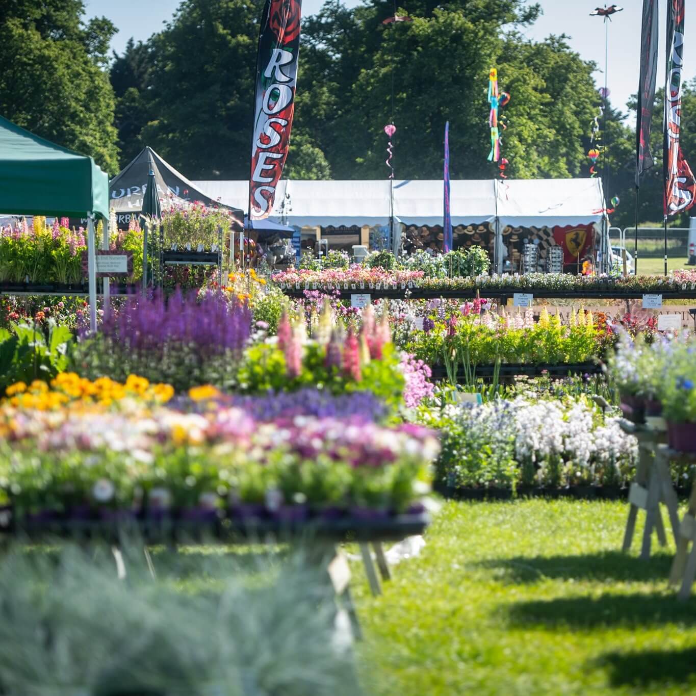 5 Wonderful Flower Shows in England to Visit This Summer