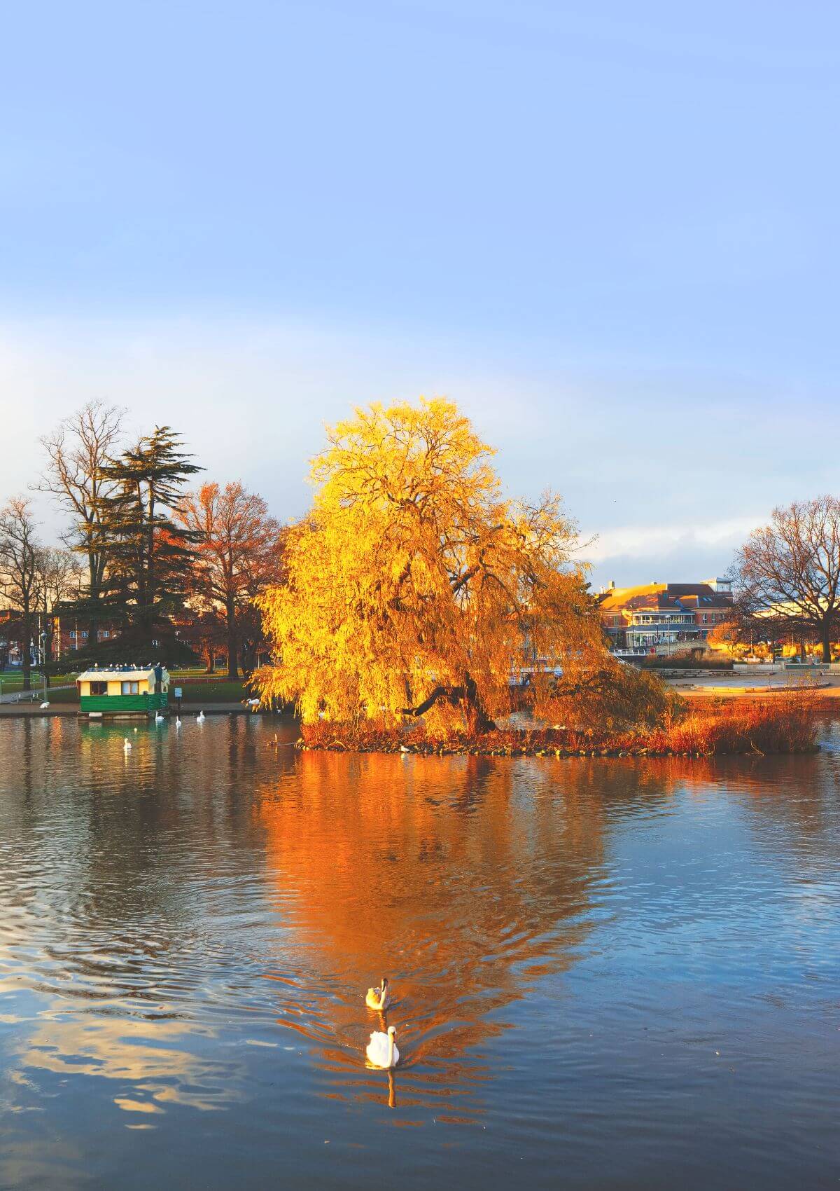 Boat trip on the River Avon, Bristol 