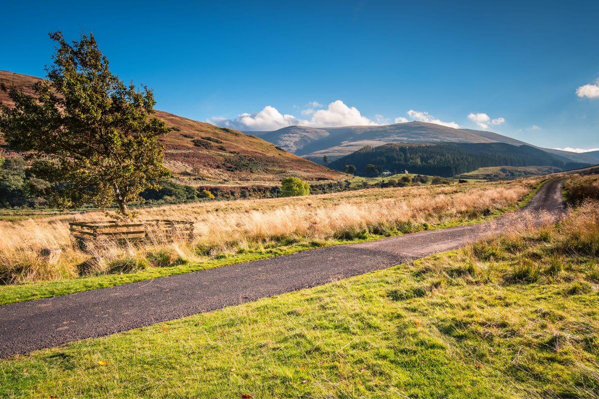 cheviot mountains