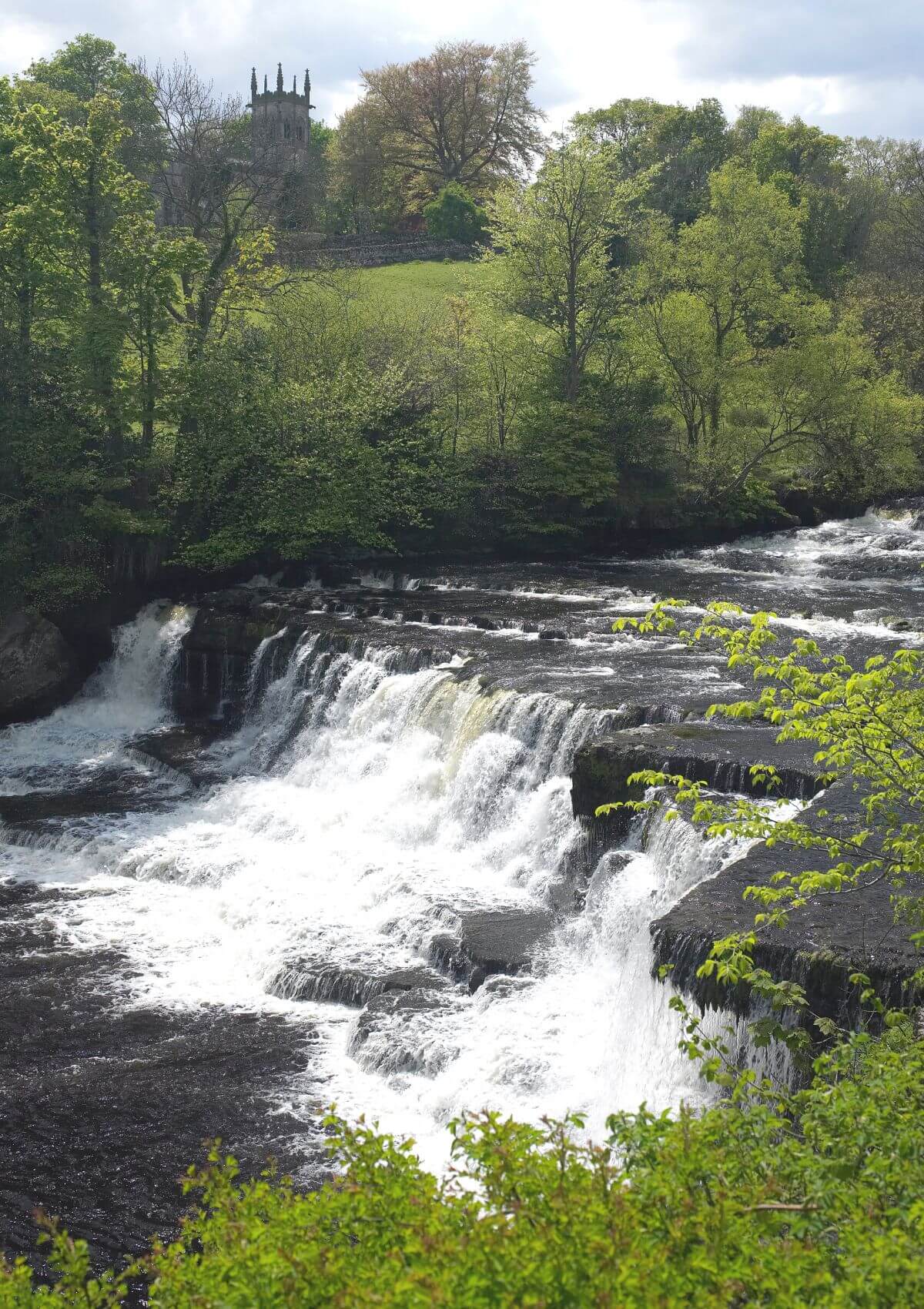 day out in wensleydale