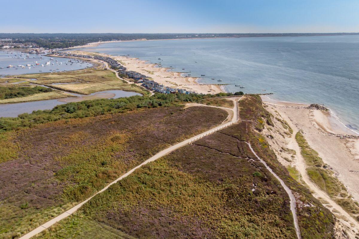 New Forest beach