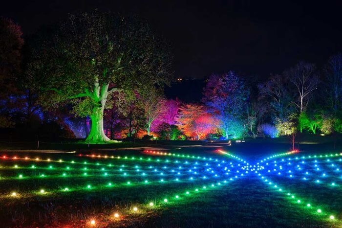 Christmas Garden Illuminations at RHS Garden Rosemoor 