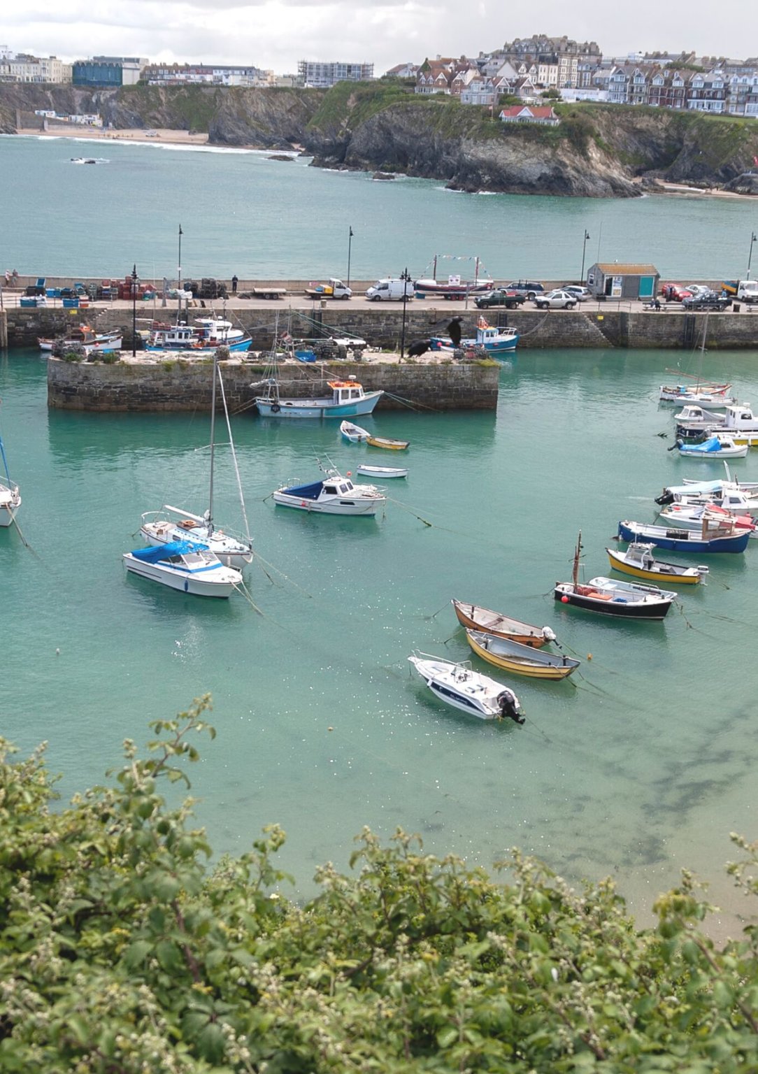 Newquay Wikipedia