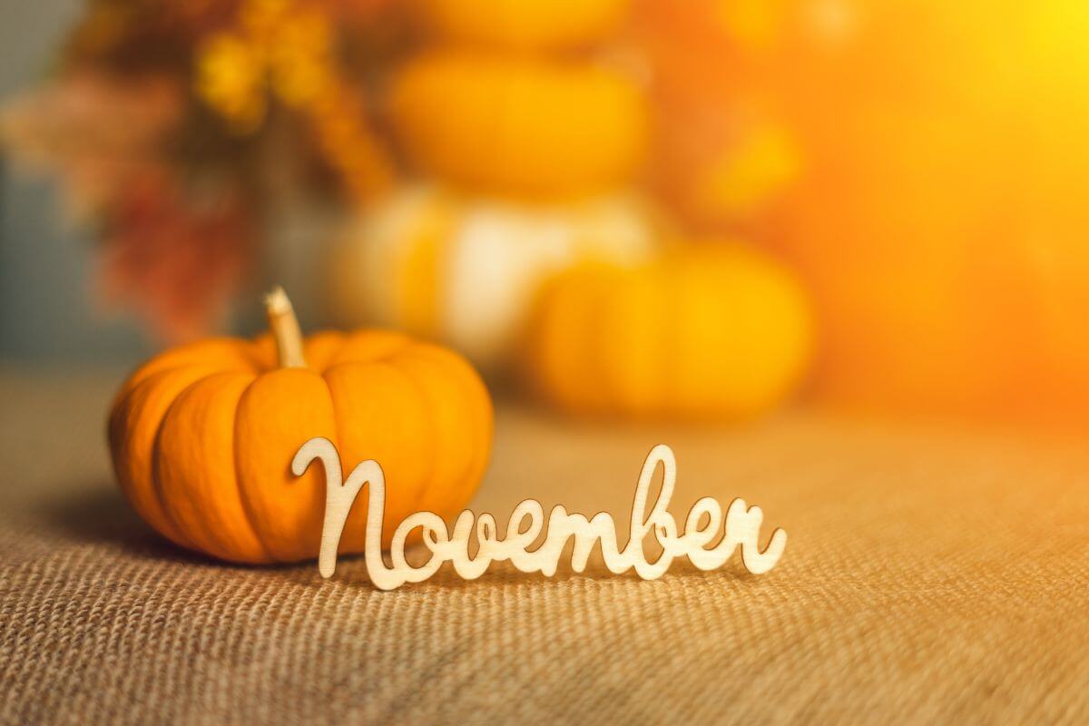 what to do in november