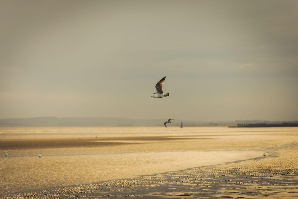 Camber Sands beach, England 