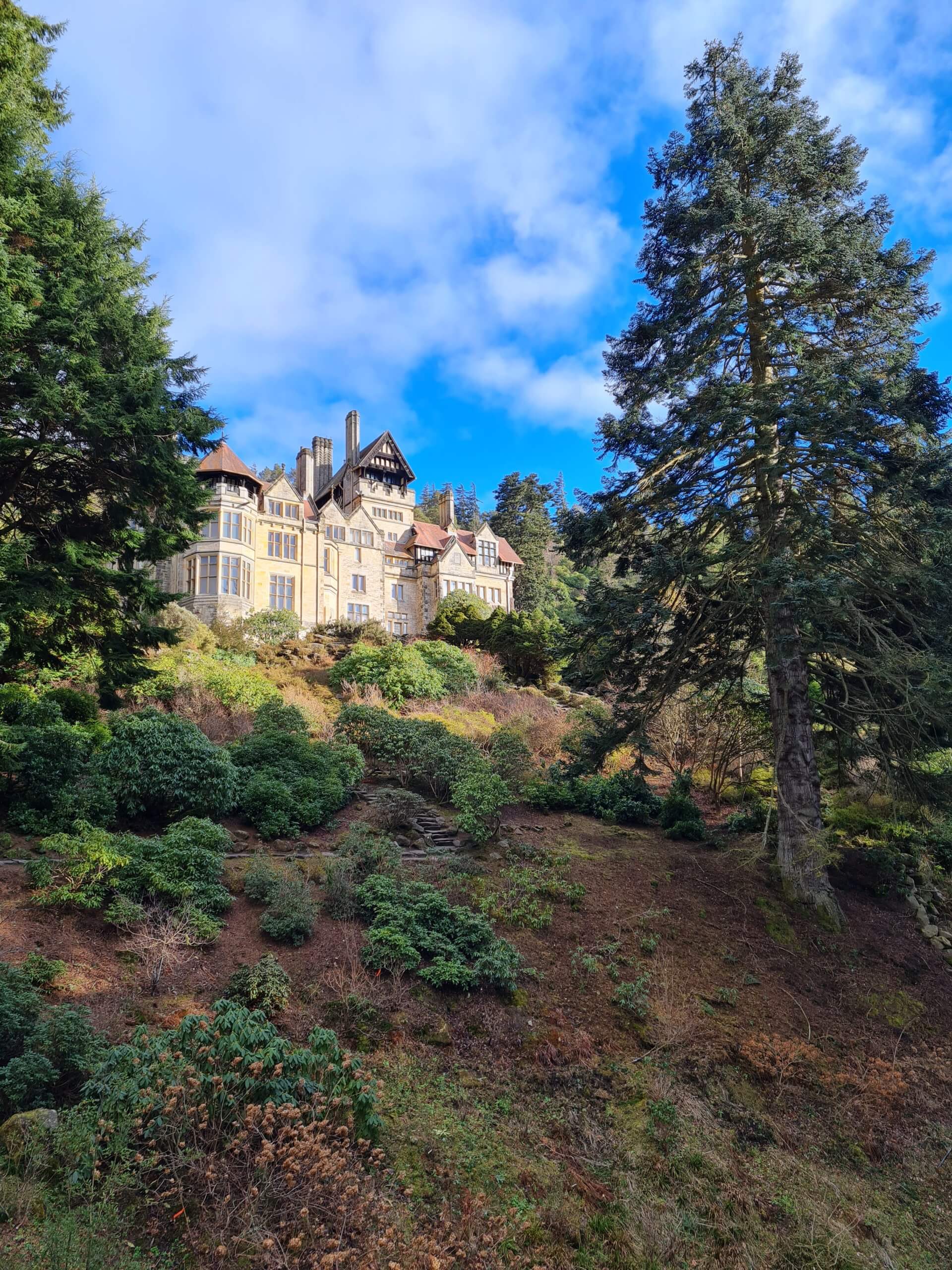 Christmas in Cragside