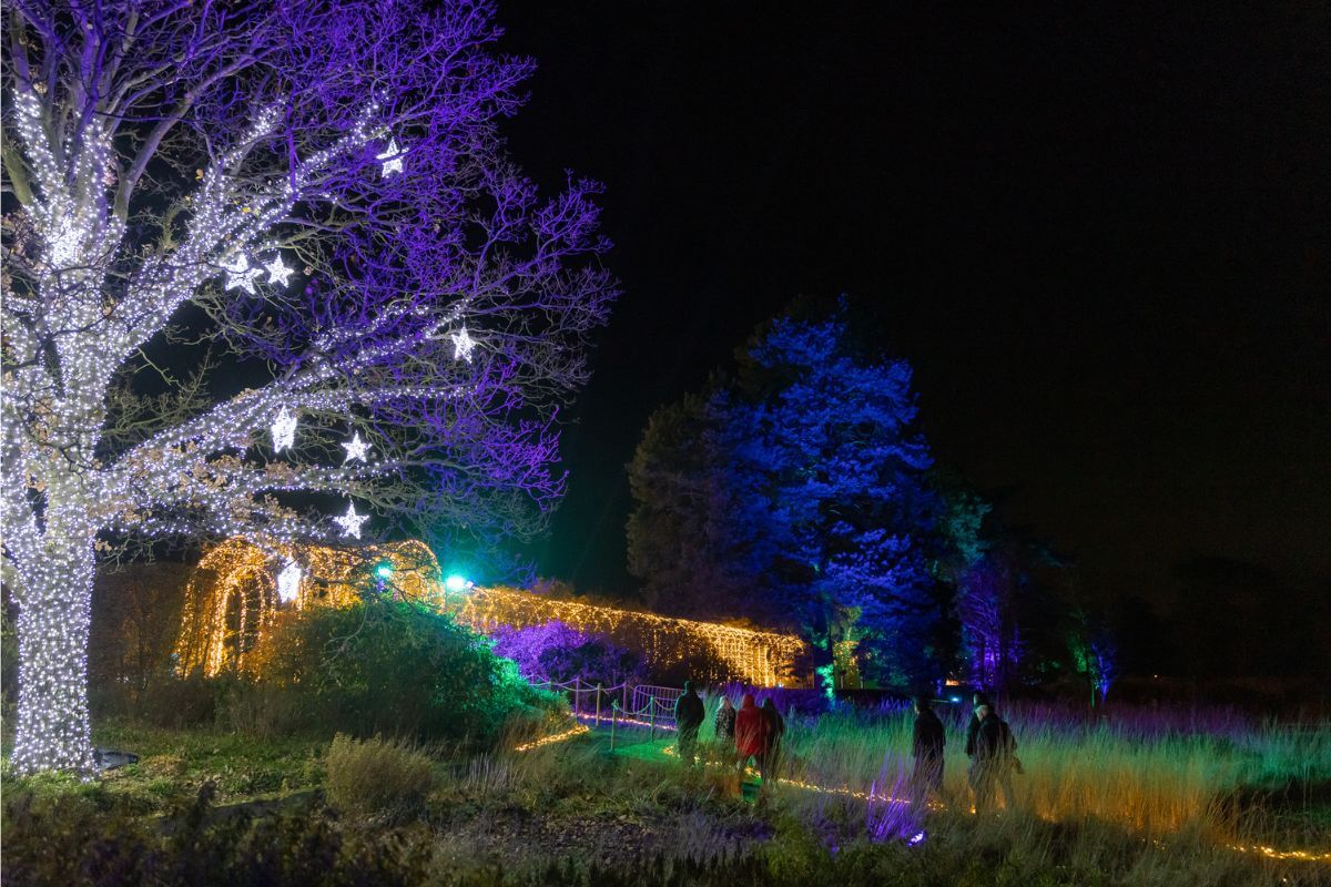 A colourful Christmas in the Midlands at the Trentham magical light trail