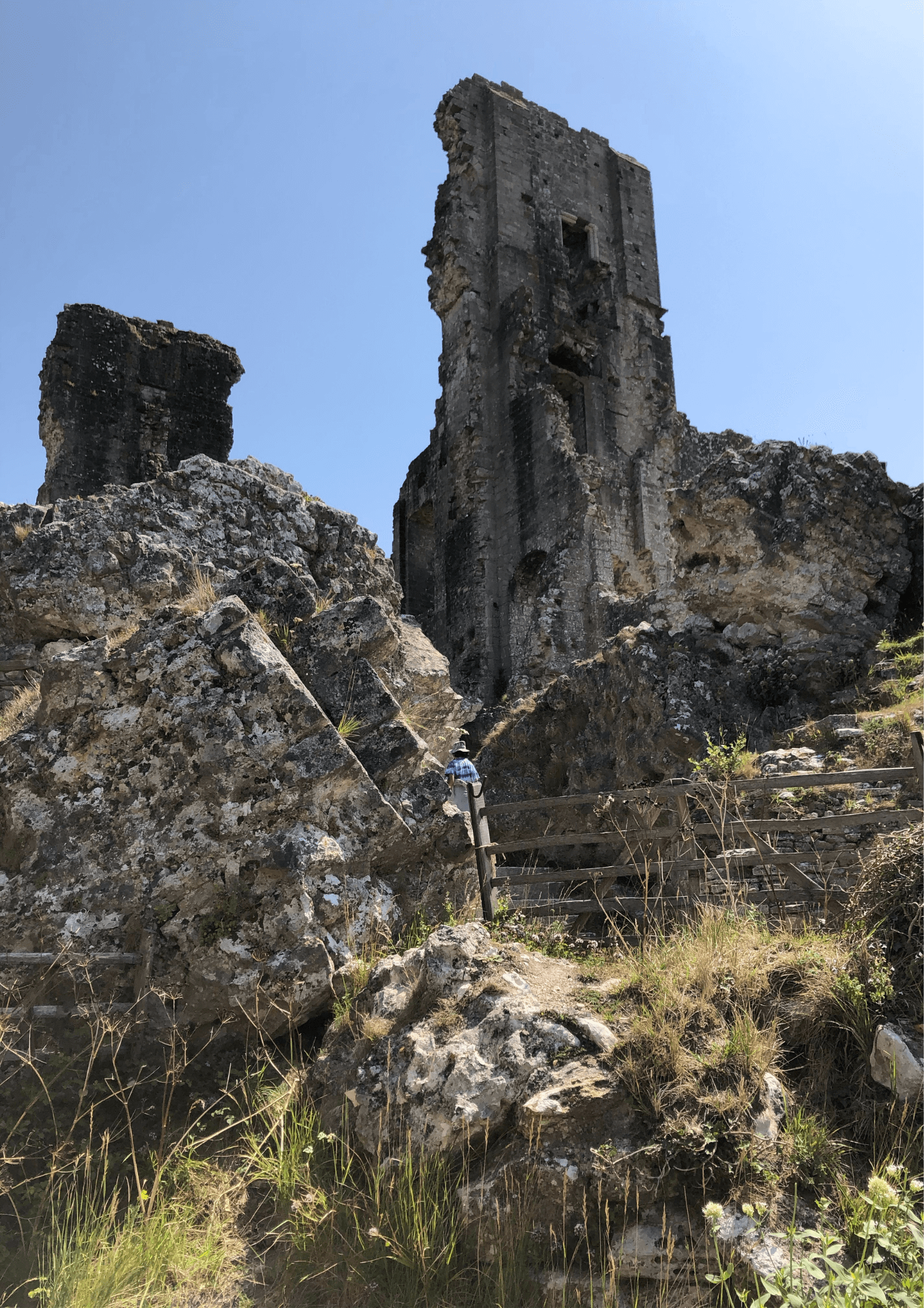 Corfe Castle from Southampton