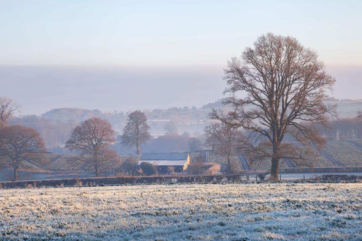 Christmas at a Cotswolds Farm