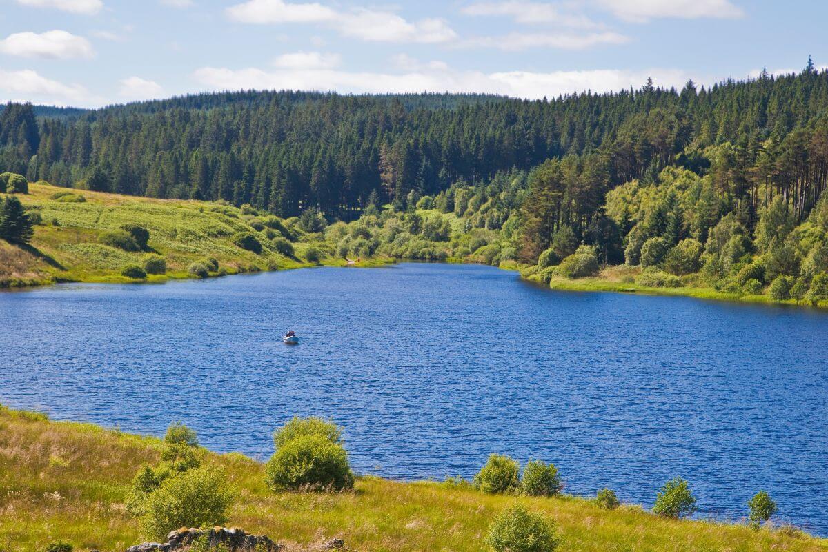 Gruffalo trails in England near Kielder Water