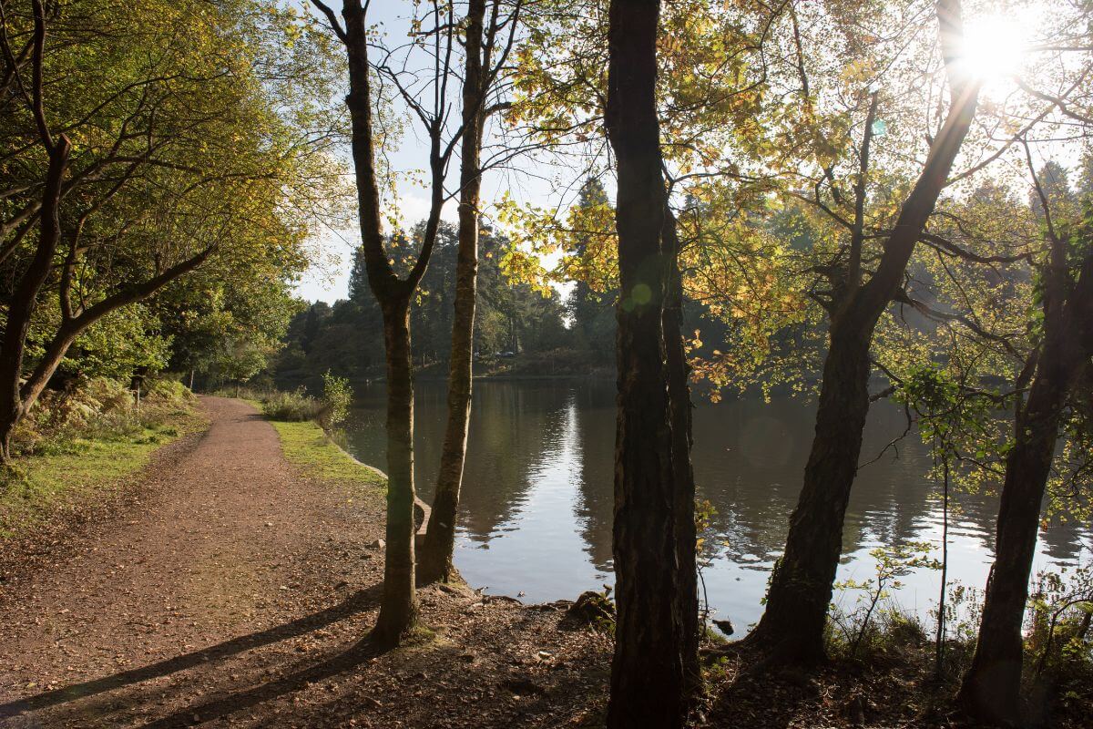 Gruffalo trail in Mallards Pike, England