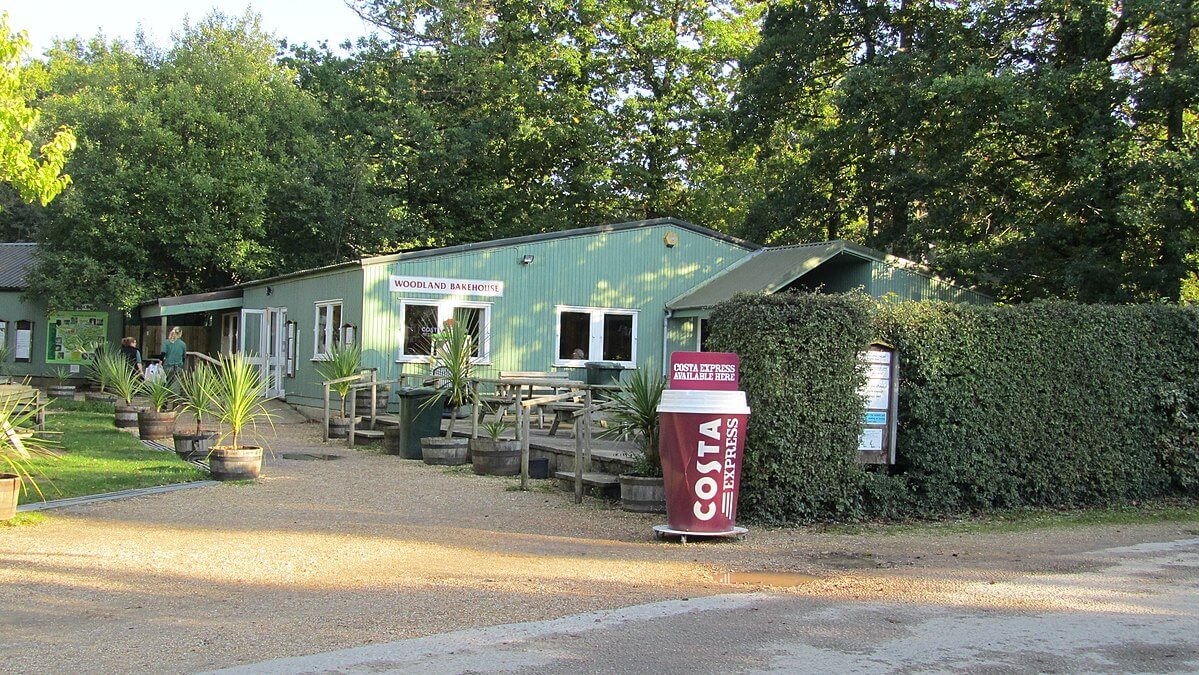 New Forest Wildlife Park from Southampton