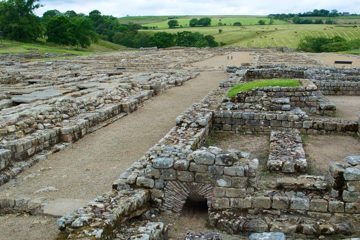 Day out to the Vindolanda in Northumberland