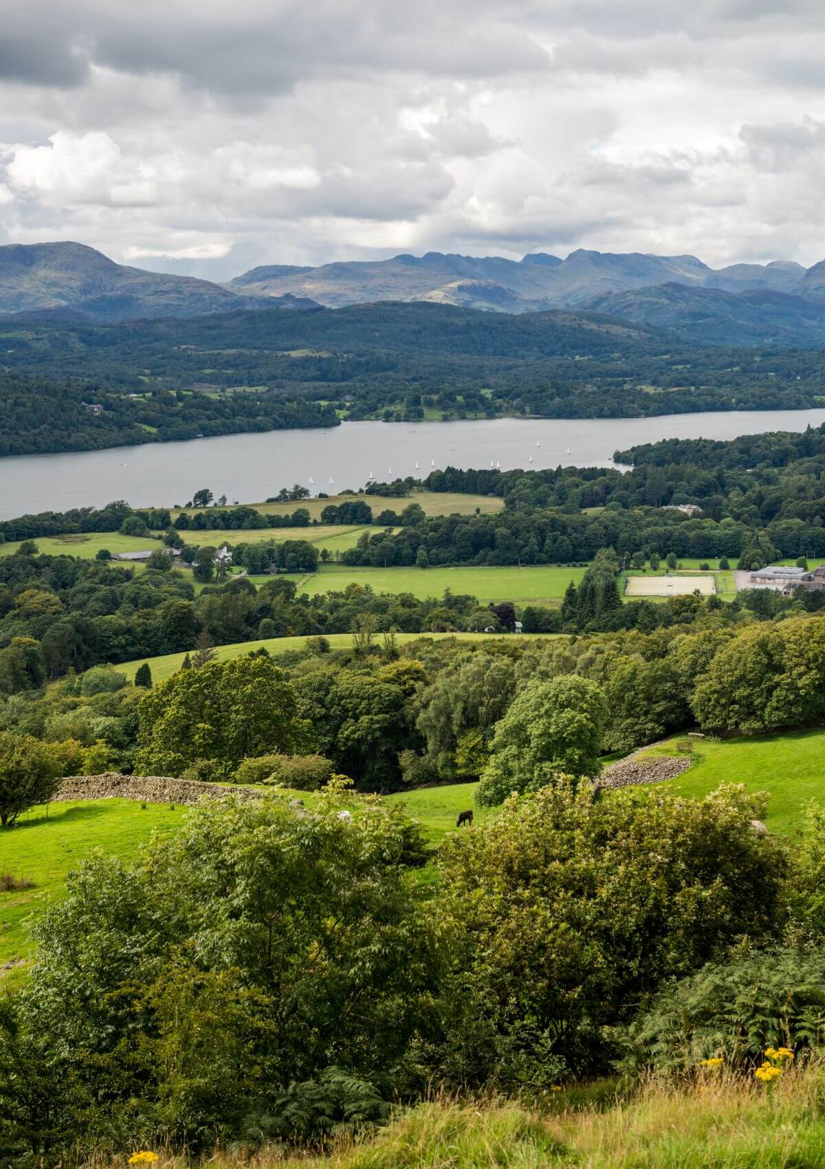 In England, there's a Gruffalo trail in the Lake District