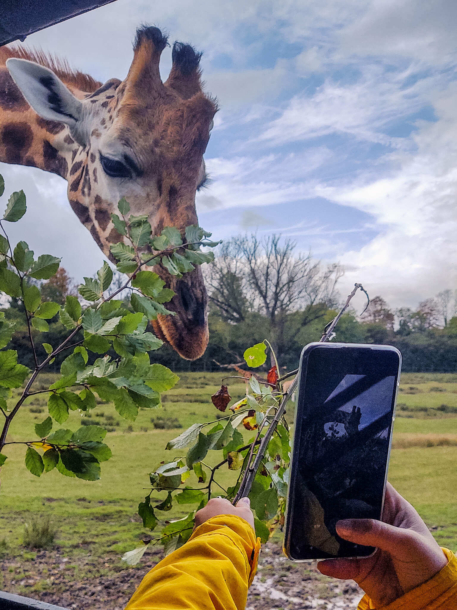 safari north england