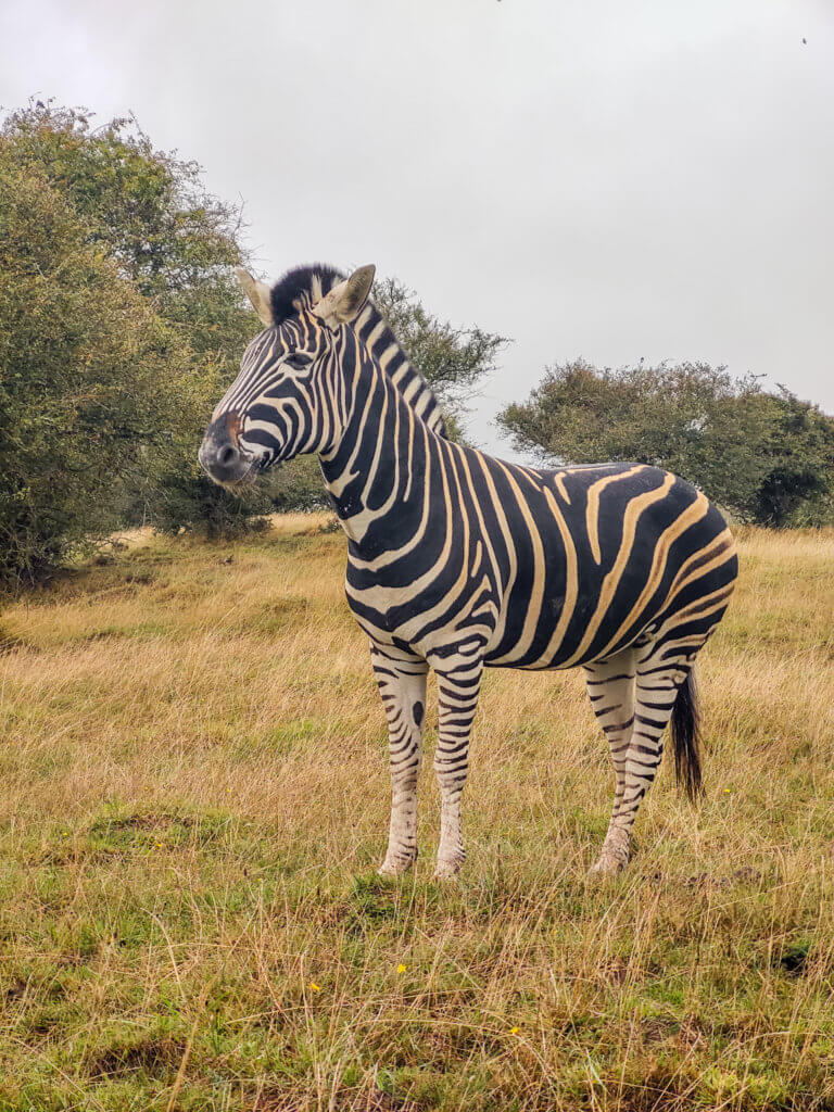 famous safari park uk