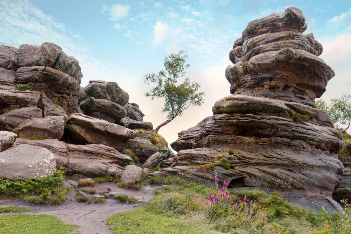 Day out to Brimham Rocks near Harrogate