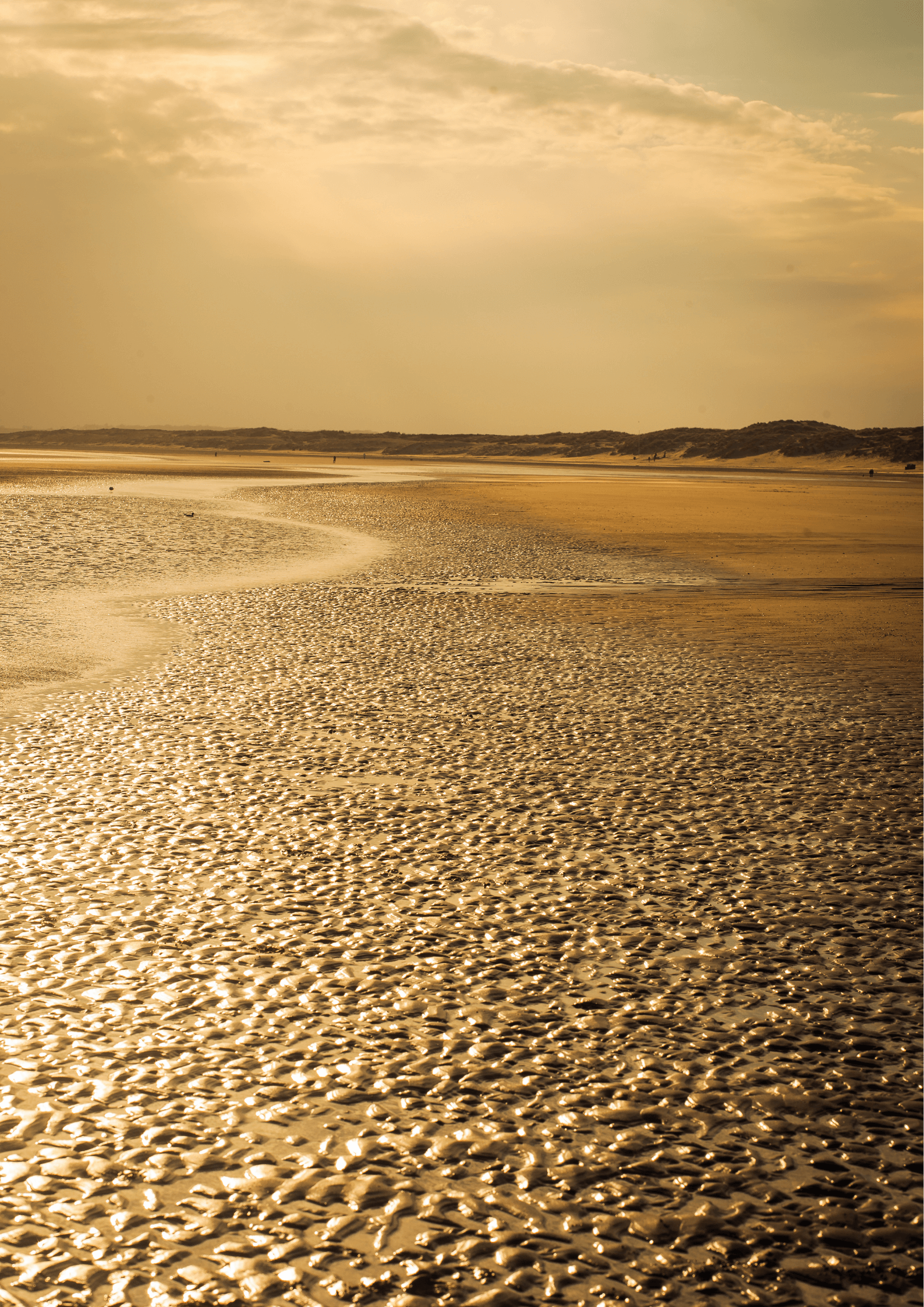 Camber Sands, day trips from Brighton, England