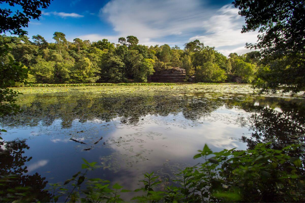 Day out to Plumpton Rocks near Harrogate