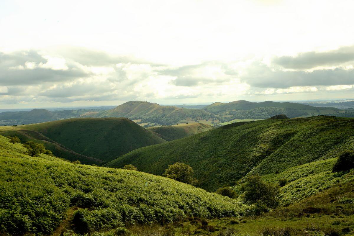 Day trip to the Shropshire Hills from Birmingham