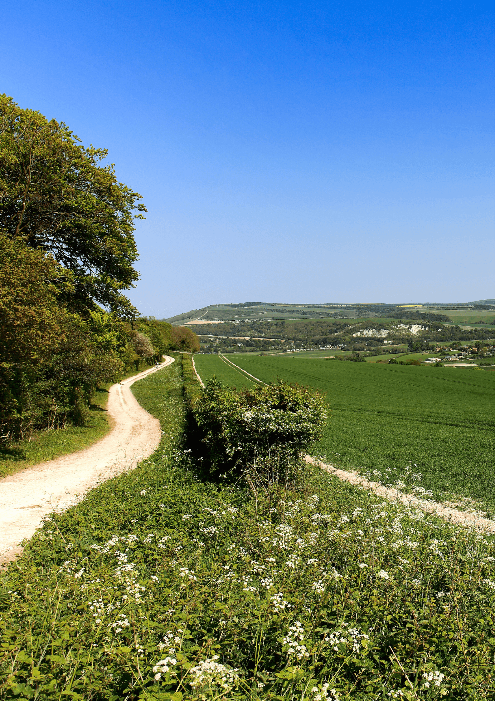 South Downs National Park, day trips from Brighton, England