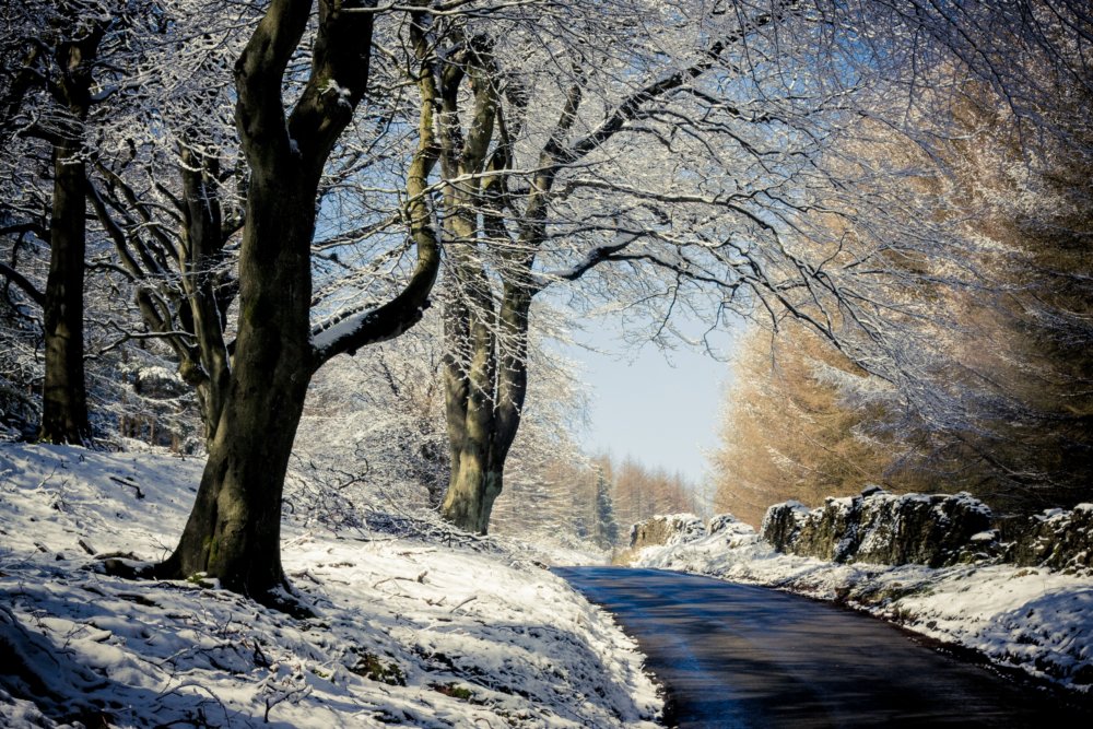 14 Absolute Best Days Out in January in England | Day Out in England