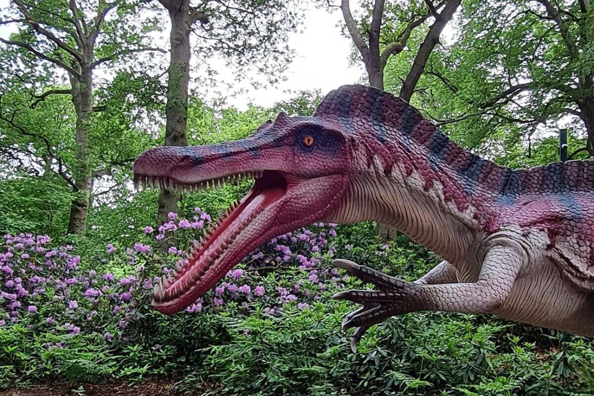 Journées dinosaures en Angleterre
