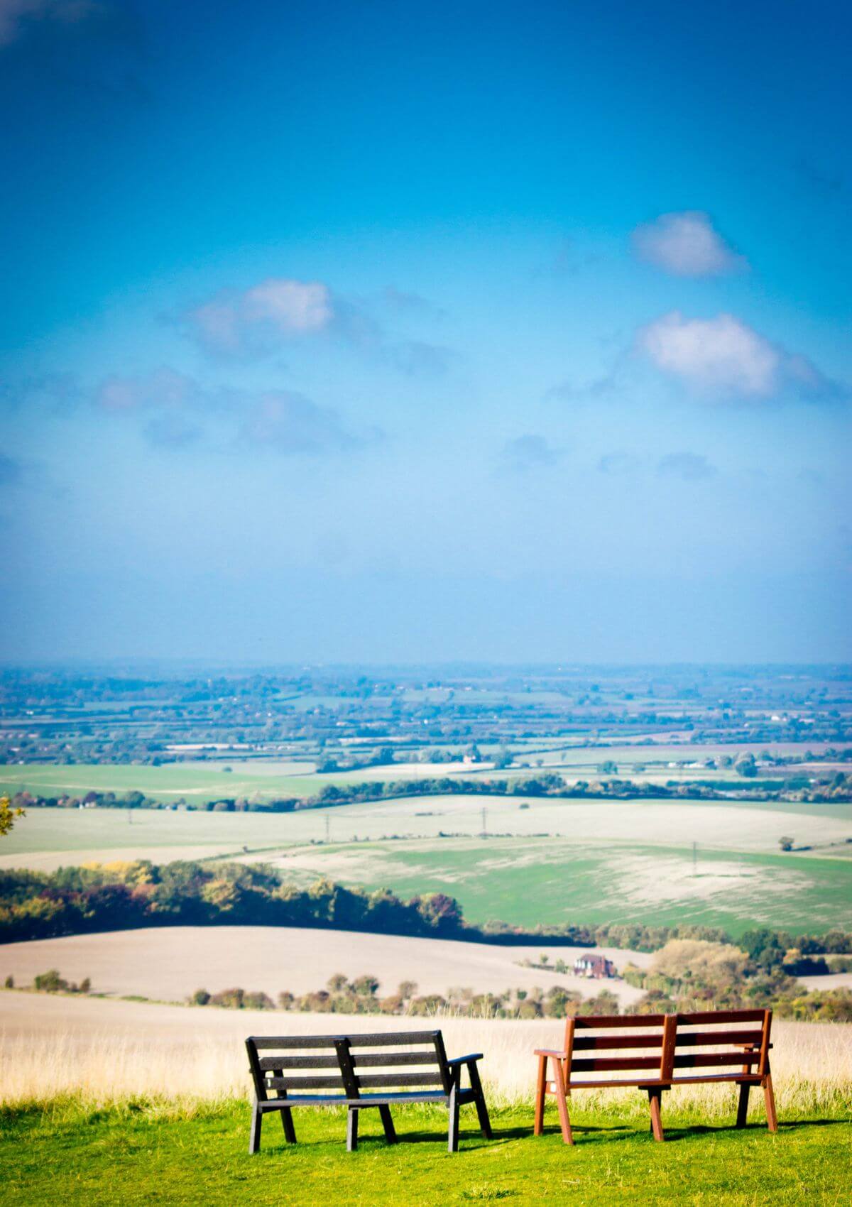 Head to the Dunstable Downs to try paragliding in England