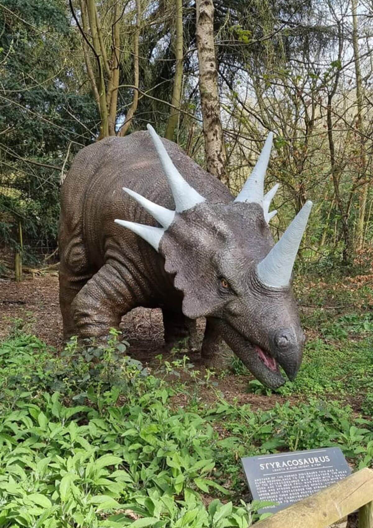 Dinosaur day out at Knebworth House, England