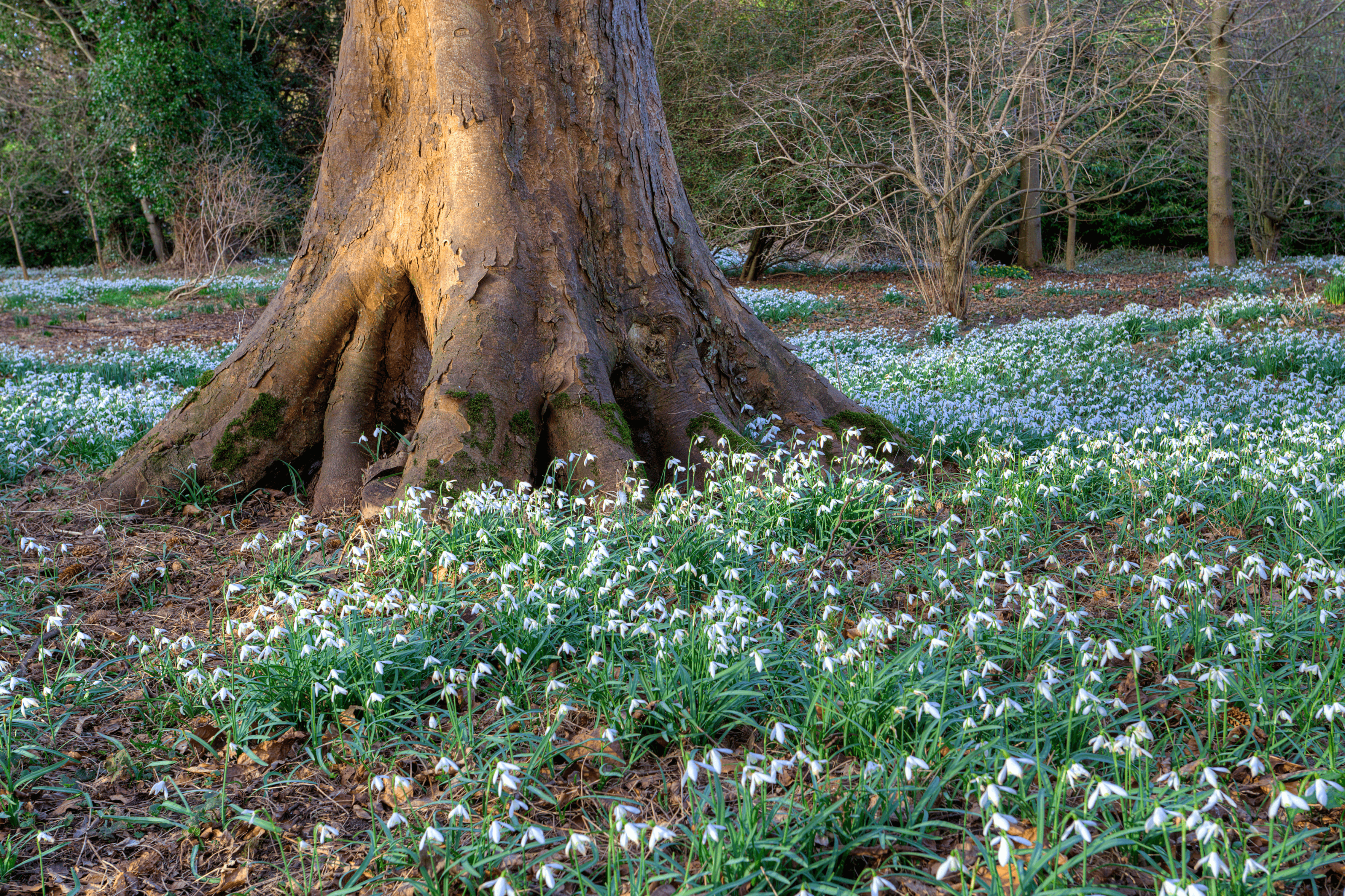 10 Best Days Out in March in England for 2024