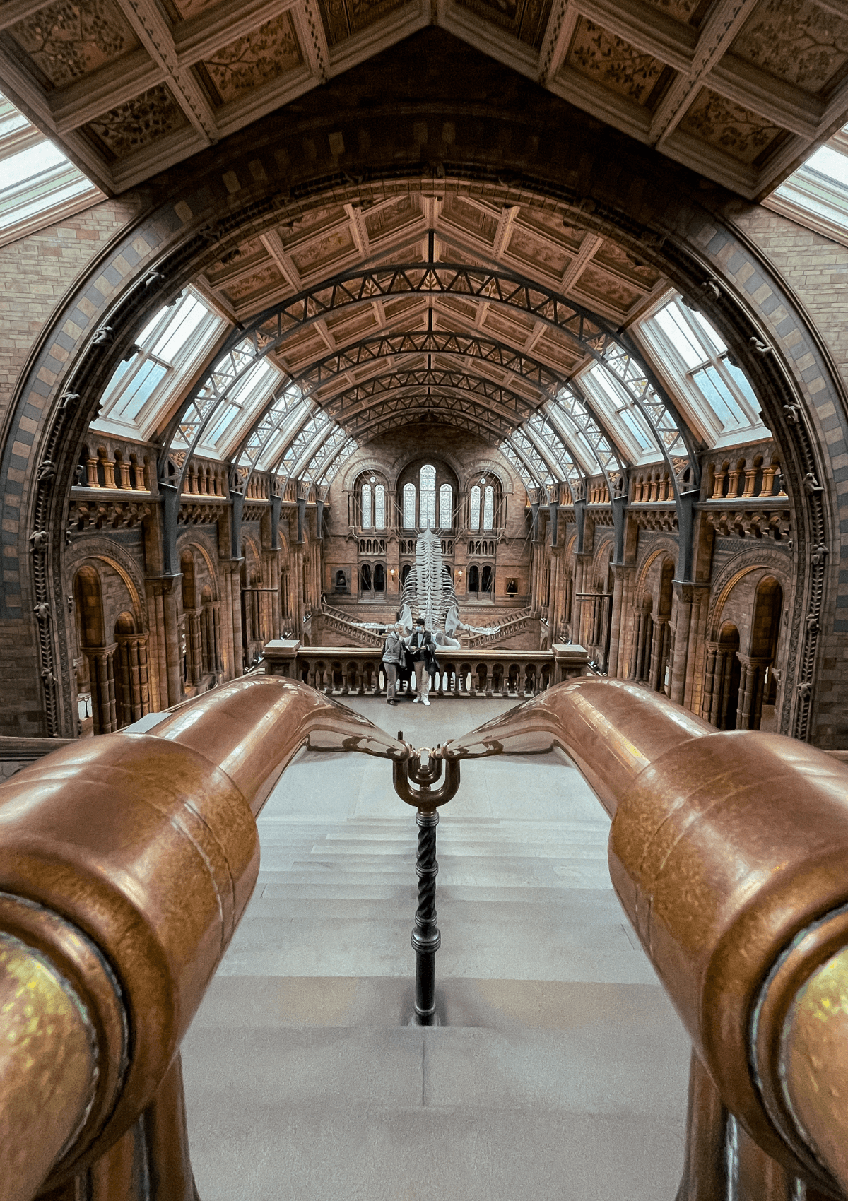 Musée d'histoire naturelle de Londres